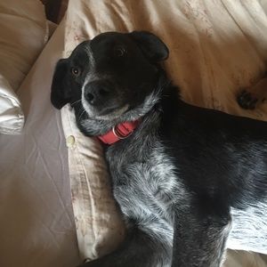 Meet your Posher, Gabby